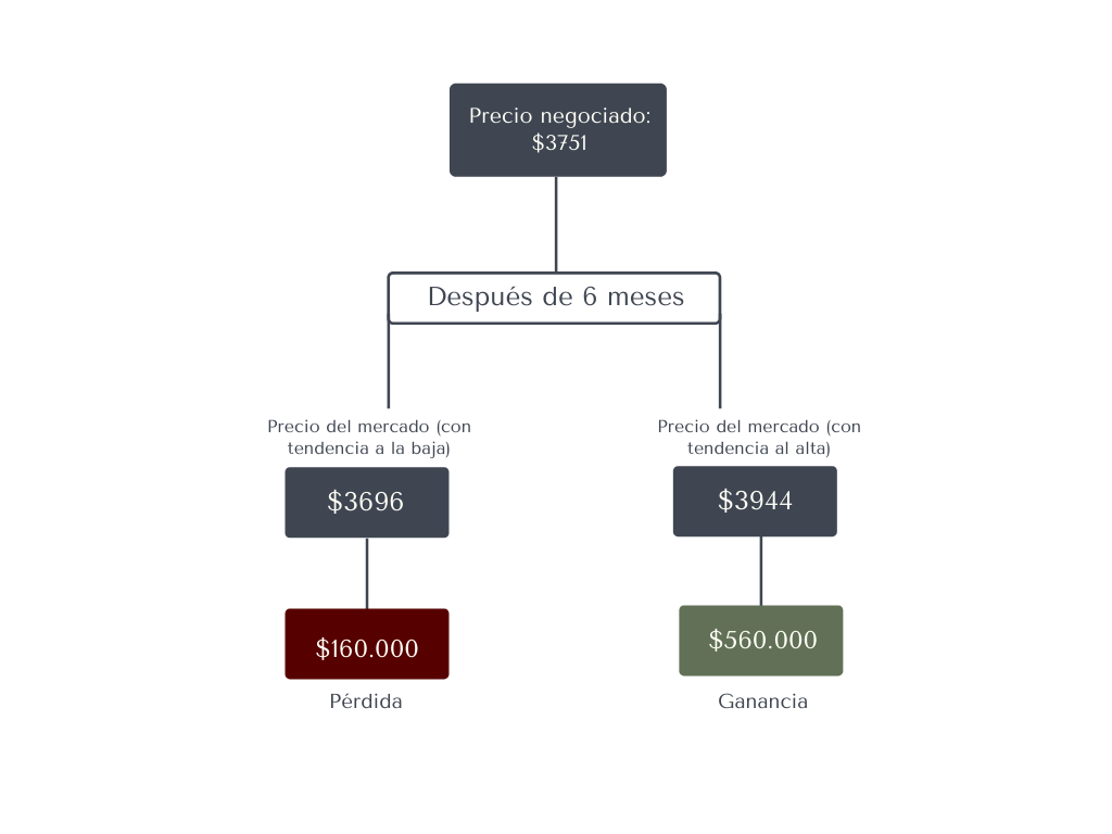 ¿Cuál es la importancia del término tipo de cambio?